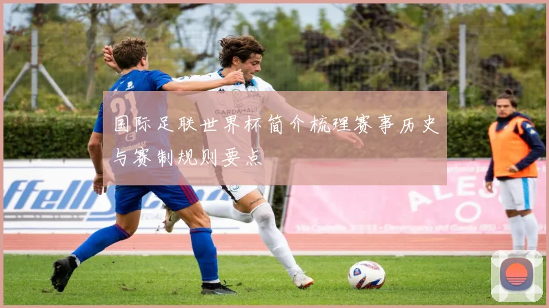 国际足联世界杯简介梳理赛事历史与赛制规则要点