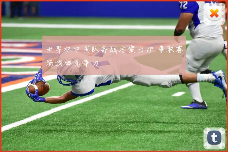 世界杯中国队备战方案出炉 争取赛场找回竞争力
